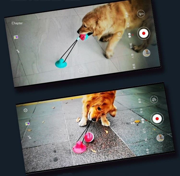 Brinquedo ultra resistente para morder - Happy Dog