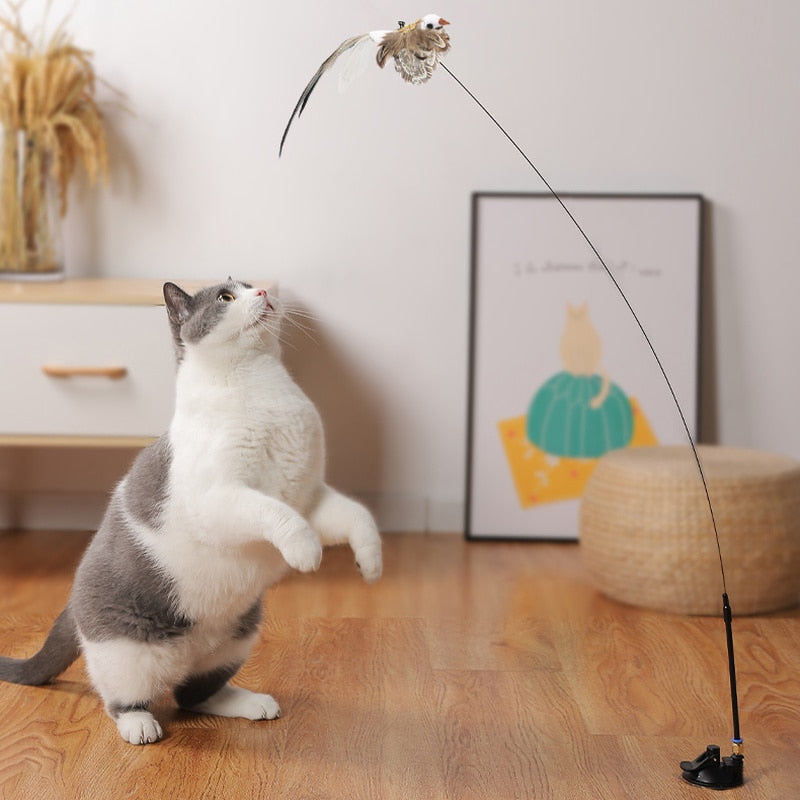 Brinquedo interativo para gatos - Funny Cats